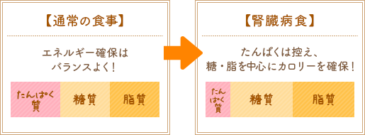 【通常の食事】エネルギー確保はバランスよく！【腎臓病食】たんぱく質は控え、糖・脂を中心にカロリーを確保！