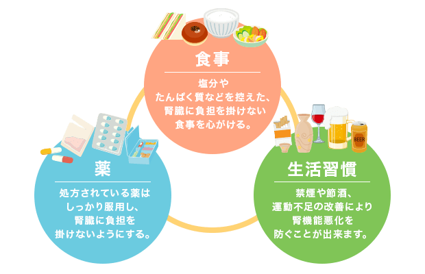 「食事」塩分やたんぱく質などを控えた、腎臓に負担を掛けない食事を心がける。「薬」処方されている薬はしっかり服用し、腎臓に負担を掛けないようにする。「生活習慣病」禁煙や節酒、運動不足の改善により腎機能悪化を防ぐことが出来ます。
